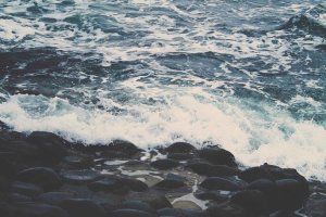 Image of Freedom Roofing Company