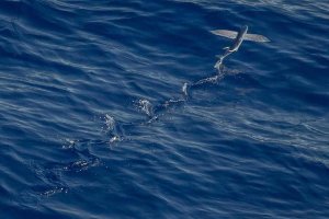 Image of TotalCover Solutions