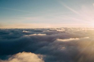 Image of Vicente's Lawn Service