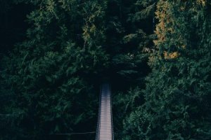 Image of Norwalk Roofer & Commercial Roofing