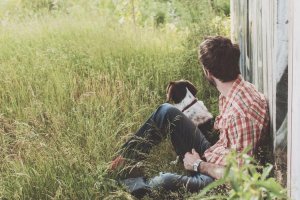Image of Allied Roofing