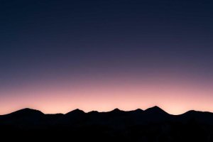 Image of Limited Landscape