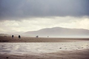 Image of Sierra Roof