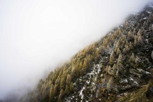 Image of Juan M.E Gardening Service