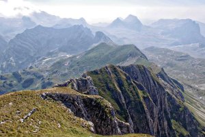 Image of Hernandez Gardening/Landscaping