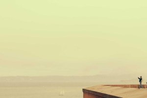 Image of Gonzalez Professional Gardening