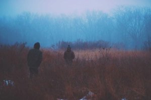 Image of Clean garden