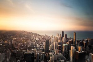 Image of Backyard Dreams LA