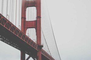 Image of Backyard Dreams LA