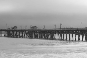 Image of Best West Garden