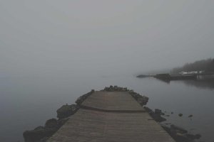 Image of Rosewood Landscape, Inc.