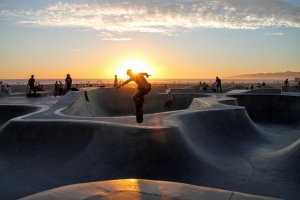 Image of South Bay Landscape and Gardens Landscaping Co