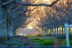 Image of Kane's Landscaping