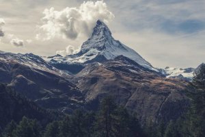 Image of Casa Verde Landscaping