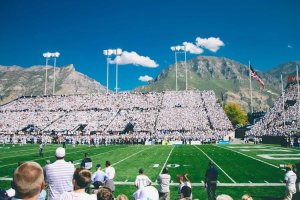 Image of Finley's Tree and Landcare