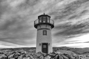 Image of Drain All Rooter