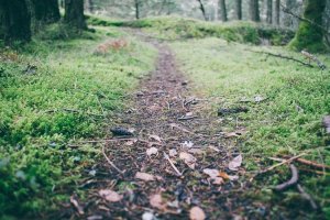 Image of LA Pool Guys