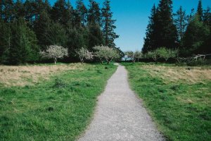 Image of Gardener Pablo