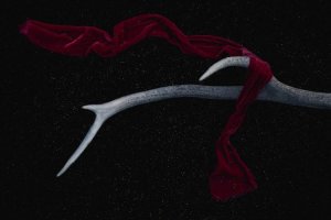 Image of Jesus Lawn Maintenance