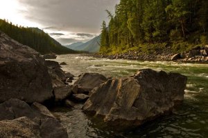 Image of Gustavo's Lawn Services