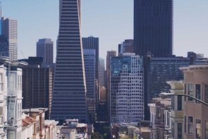 Image of Gustavo's Lawn Services