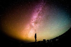 Image of Gustavo's Lawn Services