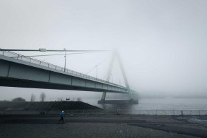 Image of JLC Gardening and Maintenance