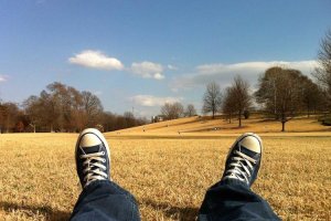 Image of Frank's Gardening Services