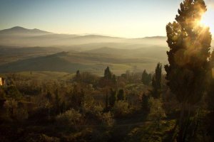 Image of Alan's Lawn and Garden Center 