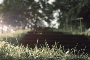 Image of Alan's Lawn and Garden Center 