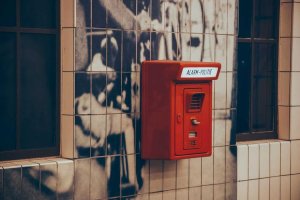 Image of Swayzer Landscapes