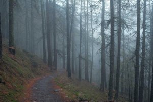 Image of Southbay Landscaping