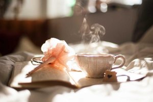 Image of Aurora lawn care logo