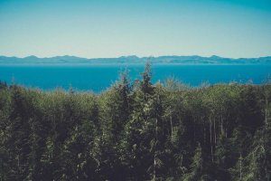 Image of Augusta Lawn Care of Medford