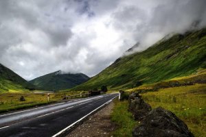 Image of Precision Landscape Maintanence