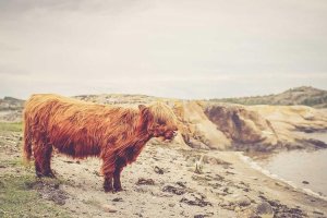 Image of Erik's Landscape_Maintenance